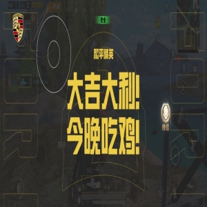 和平精英DY直装-和平全火内核助手